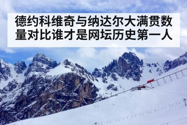 德约科维奇与纳达尔大满贯数量对比谁才是网坛历史第一人
