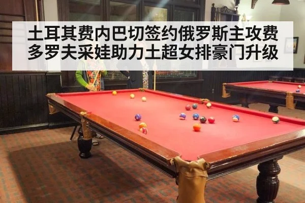 土耳其费内巴切签约俄罗斯主攻费多罗夫采娃助力土超女排豪门升级